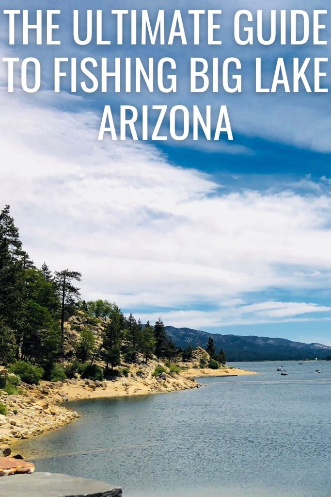 The ultimate guide to fishing big lake Arizona.