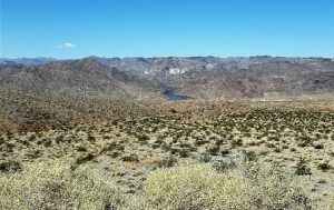 View of the Mojave Desert with mountains and the Colorado River's Black Canyon Lake in the distance.