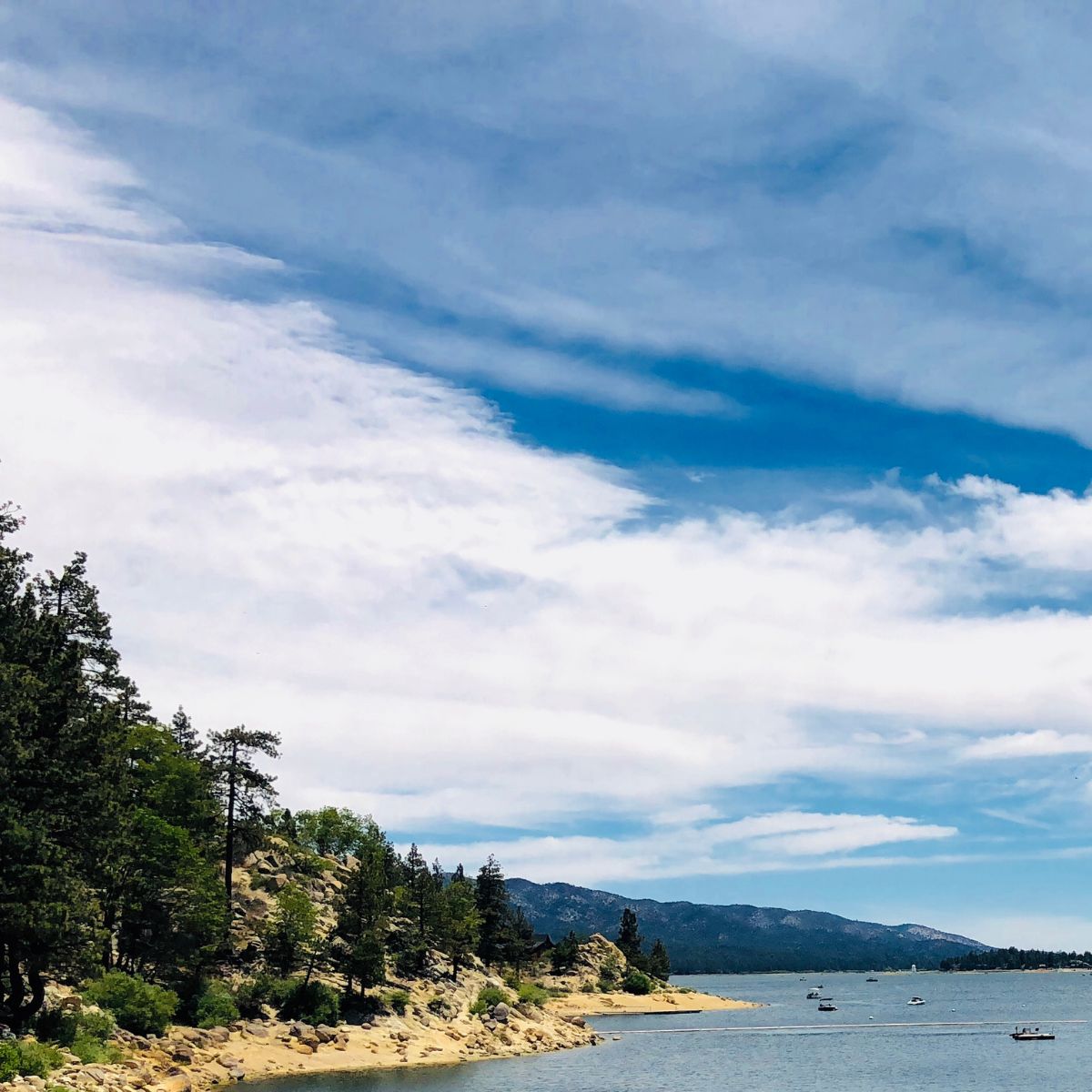 beautiful scenery of evergreens at the edge of big lake Arizona, with boats in the distance. 