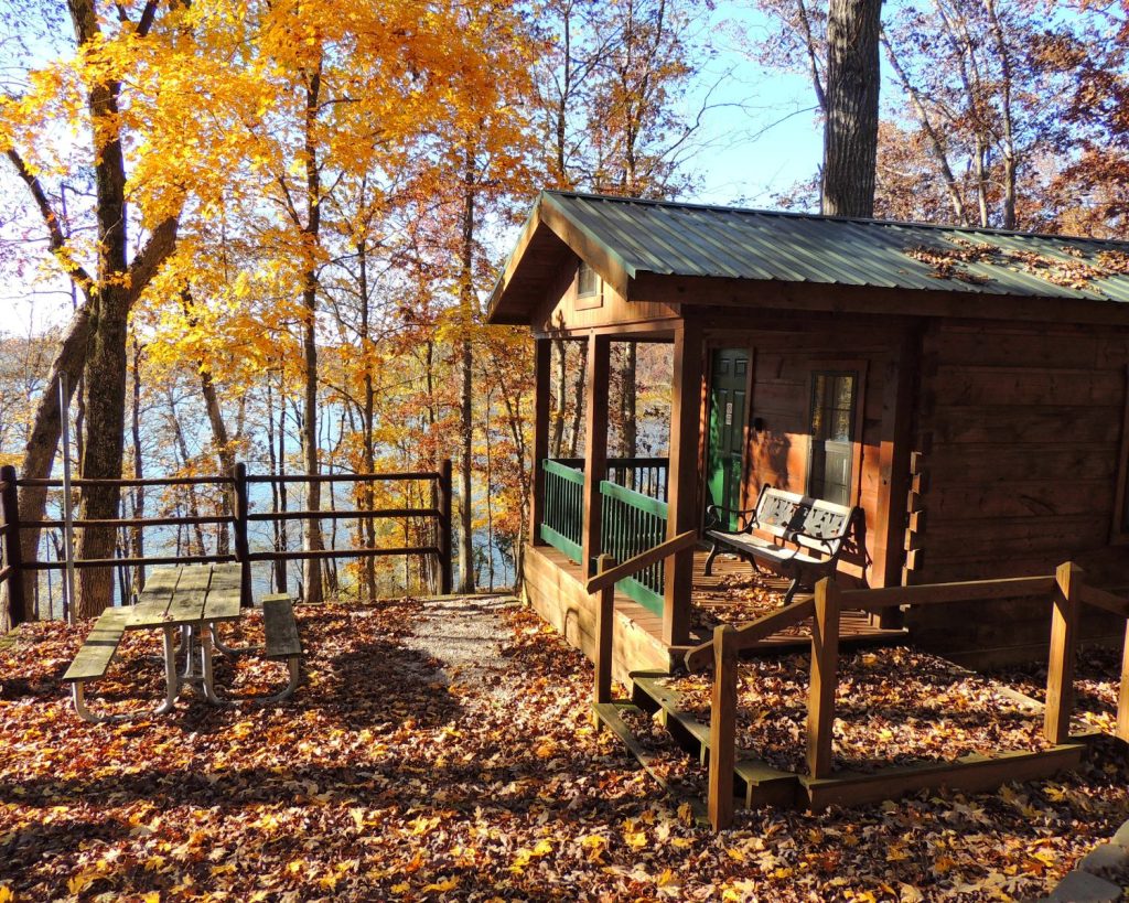 A cute cabin tucked under some tall trees at the edge of the lake.