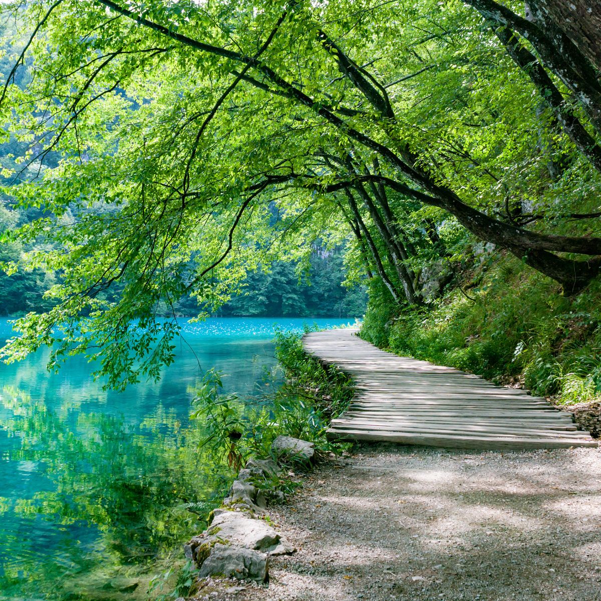 A beautiful, quiet walkway by the edge of a river. 