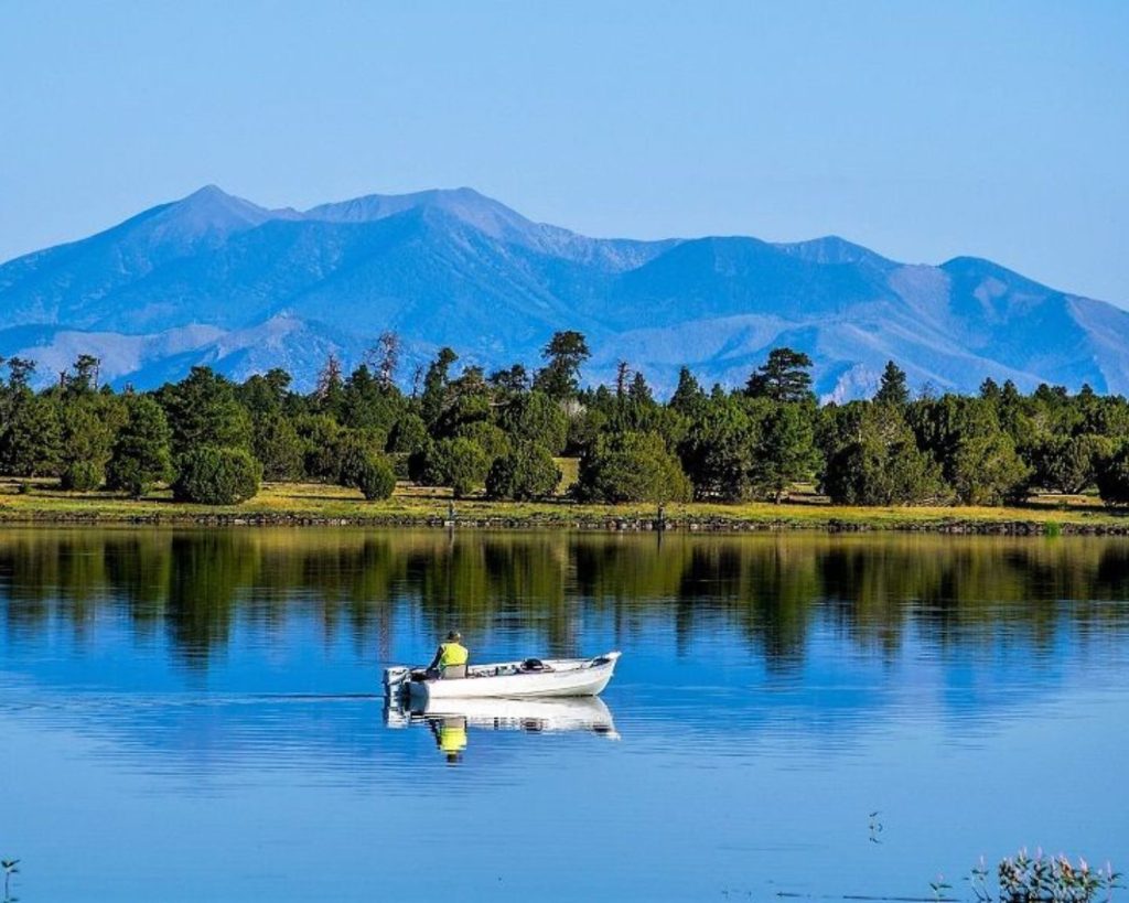 Man in a small motorboat on a lake with pine trees and mountains in the background.