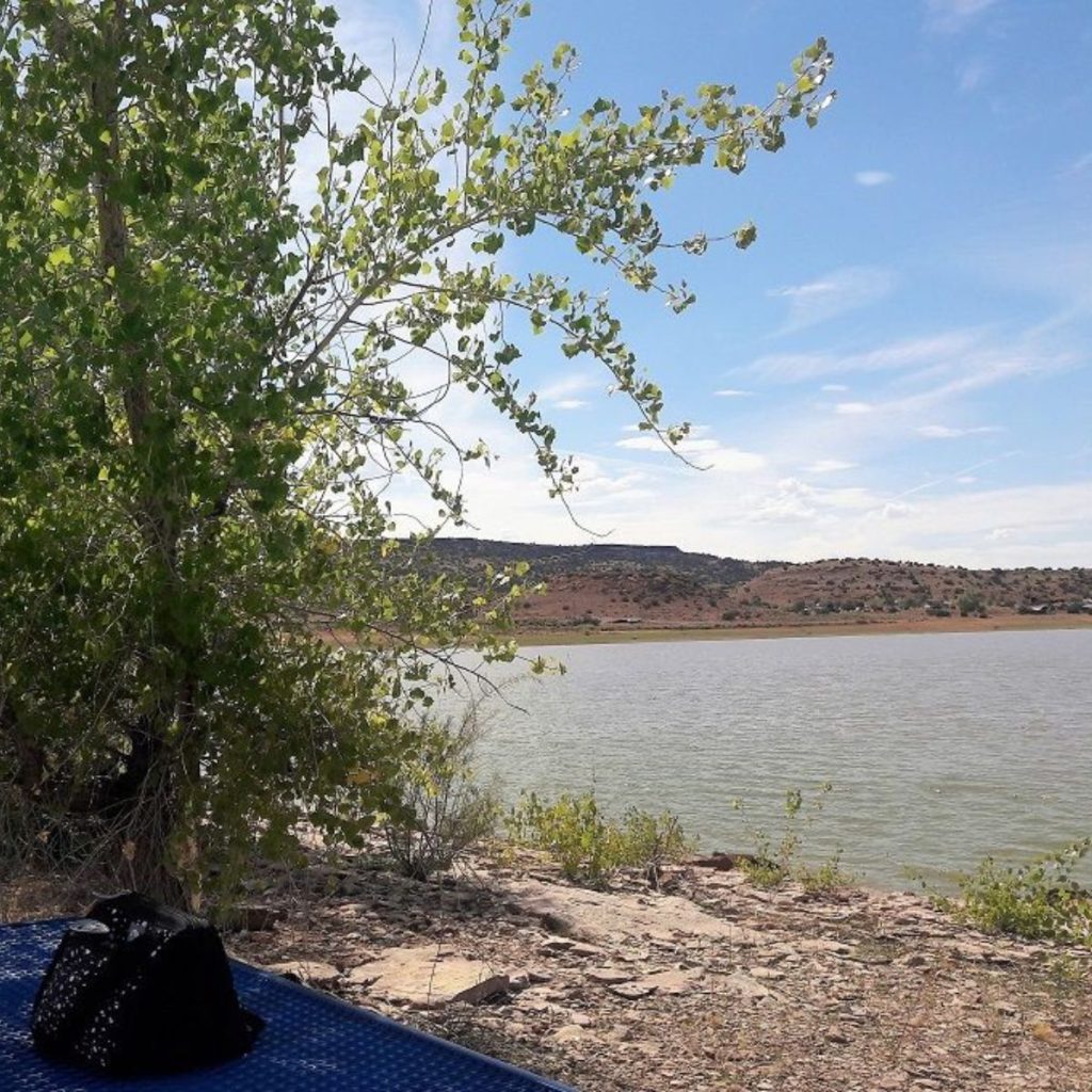 lake in a desert landscape, with a few trees adjacent to a lakeside picnic table with a cooler on top.