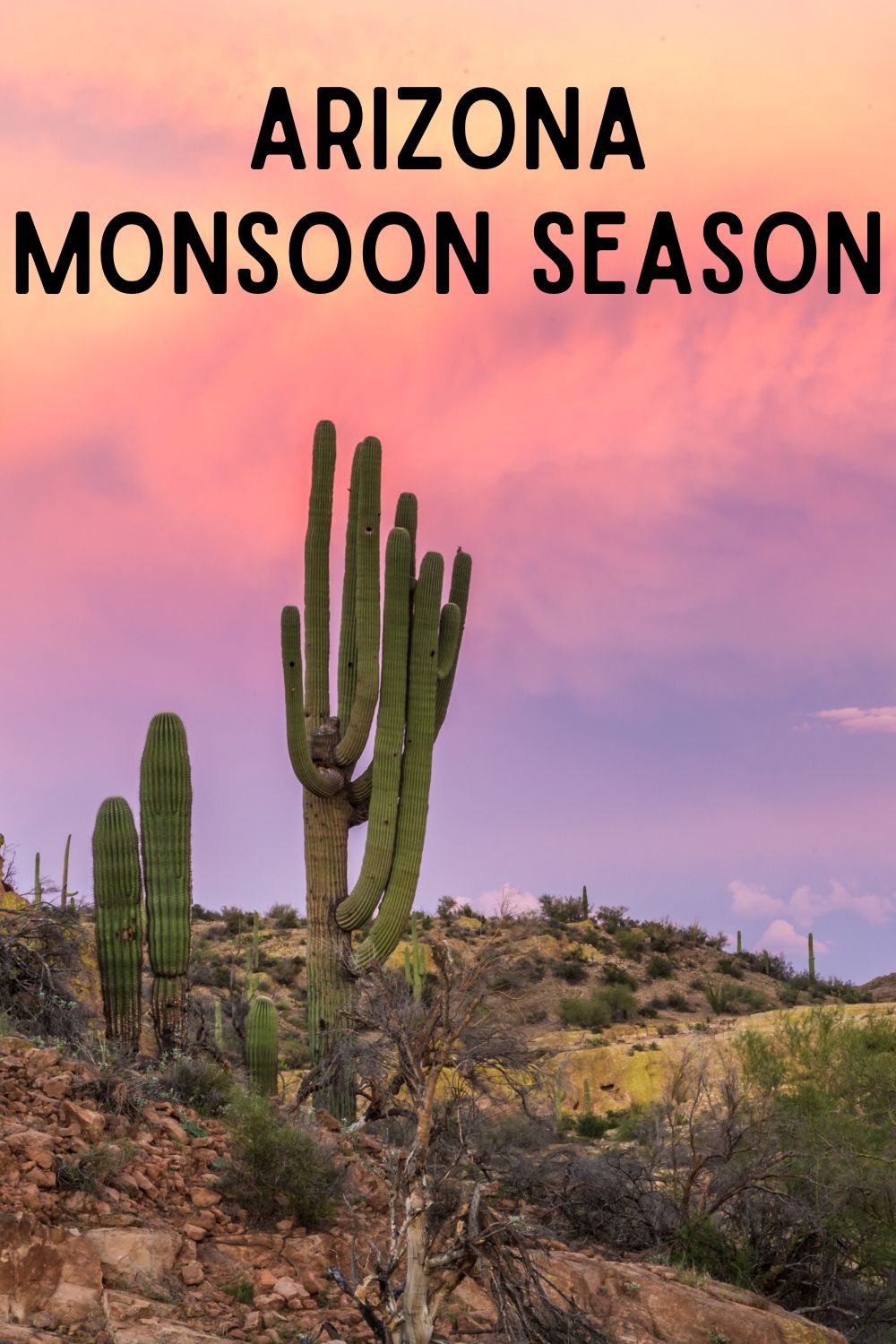 Arizona monsoon season.
