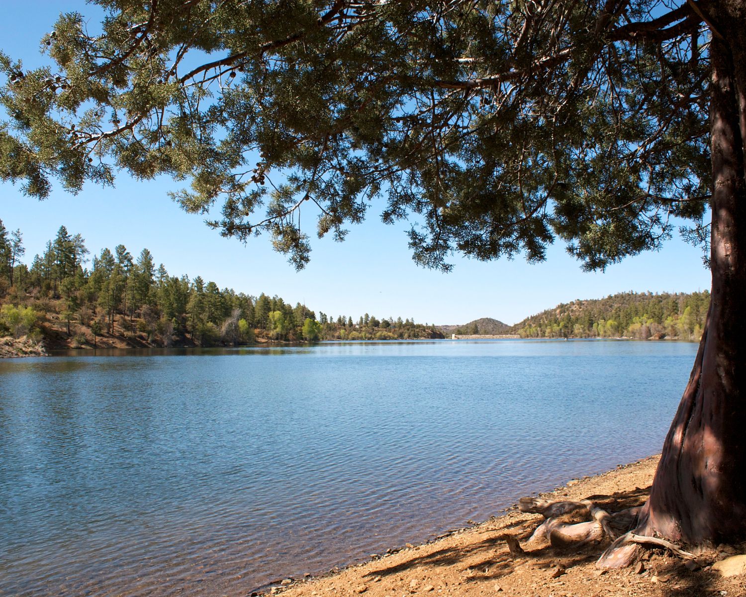 Lake in Arizona.