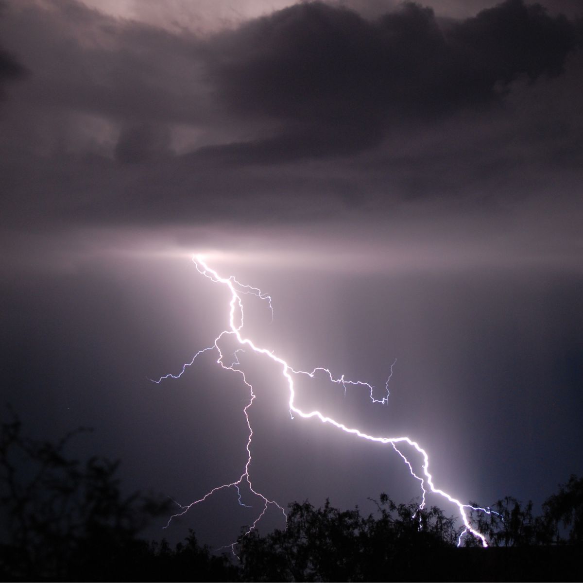 lightning streaking toward trees.