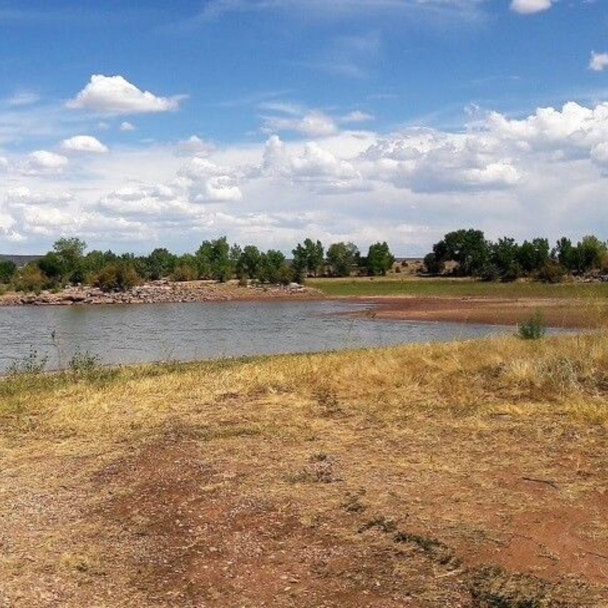 A Vista of a Section of Lyman Lake.