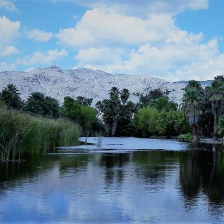 Best Arizona Lakes