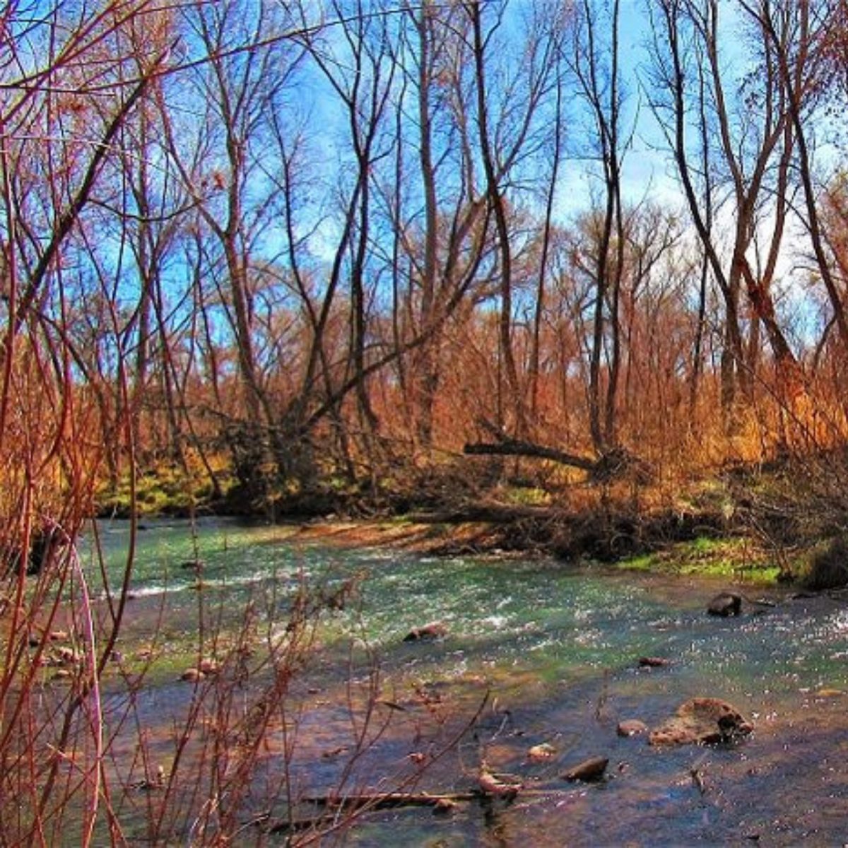 Babbling waters at Verde River. 